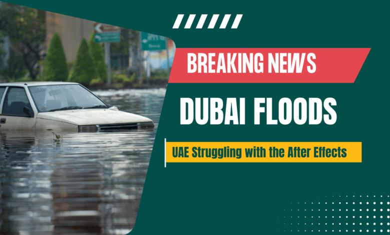 Dubai floods submerged roads and highways